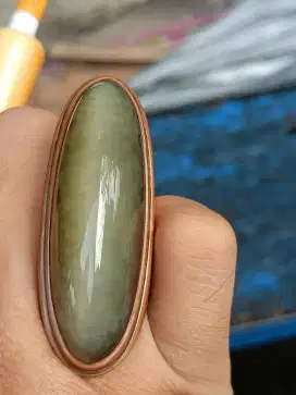 Pandan lumut mateng di jari