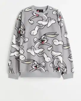 Sweater H&M Warner Bros Looney Tunes Sweatshirt