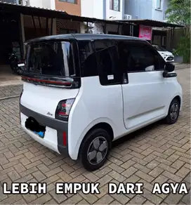 LONG Range Wuling Air EV