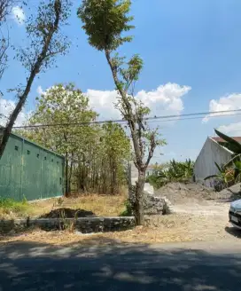 Tanah Sragen 608m² bisa separo