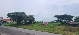 Dijual Tanah Kavling Siap Bangun Glagah,Lamongan,Jawa Timur