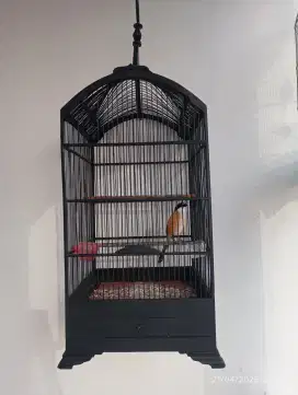 Sangkar kosan kokoh