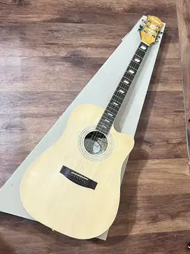 Shakira Jaenis-100 Acoustic Guitar