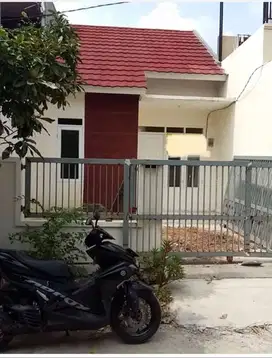 Rumah mungil bebas banjir