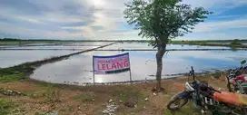 Dilelang sawah 2,73ha cabangbungin, kab bekasi