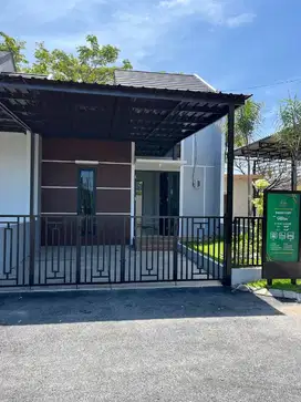 Rumah Oasis di batas kota Surabaya