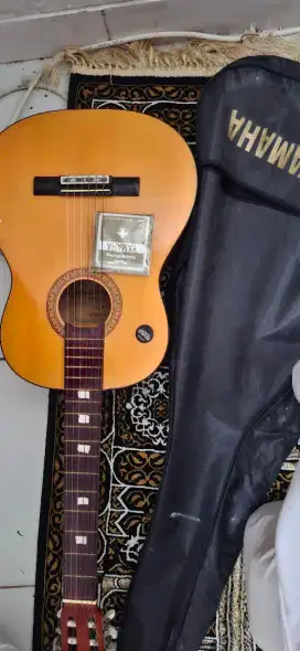 Guitar Akustik C315