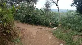 Dijual Tanah Kebun manggis 1472 Darangdan