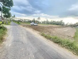 Pilih Tanah di Jalan Raya Degolan 5 Menit Kampus UII Bangun Kos Untung