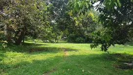 Dijual lahan jln Alternatif gunung putri bogor
