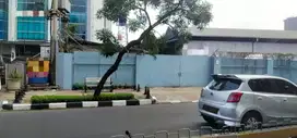 Disewakan Cepat Gudang di Jalan besar Area Kebon jeruk jakarta Barat