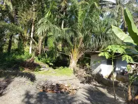 Dijual tanah cocok untuk perumahan