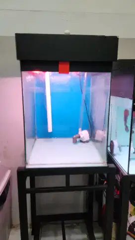 Aquarium Komplit