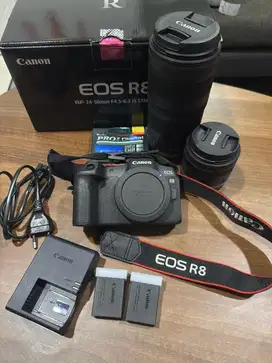 Canon EOS R8 with lens 24-50mm+lens 100-400mm fullframe