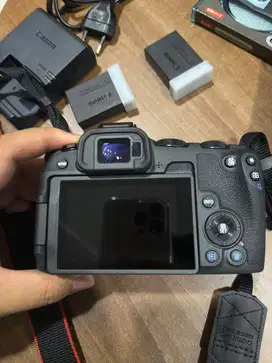 Canon EOS R8 with lens 24-50mm+lens 100-400mm fullframe