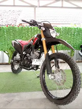 HONDA NEW CRF 150 L 2024