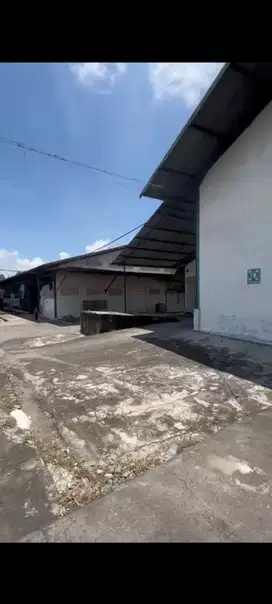 Gudang ngoro Hitung tanah 1.5jt