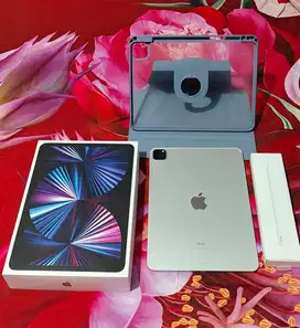 Ipad pro m1 256 gb