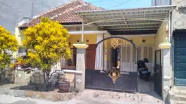 TERMURAH Rumah Bunga Tanjung Dkt SUHAT malang