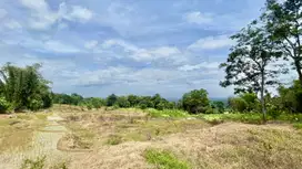 Dijual Murah Tanah 5000 m2 Bisa Akses Mobil di Bojong Purwakarta
