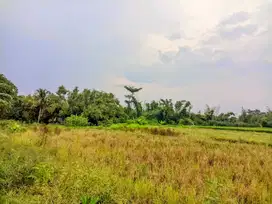 TANAH GODEAN KM 7 VIEW SAWAH 2 JUTAAN/M