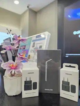 Samsung Galaxy S25 New Segel