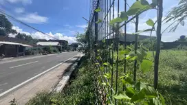 Tanah Tepi Jalan Utama di Kalasan, Potensi Usaha Tinggi