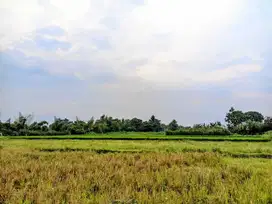 TANAH GODEAN KM.7 SIAP AJB 2 JUTAAN