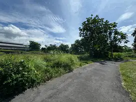 Cocok Bangun Villa, Tanah Murah View Sawah