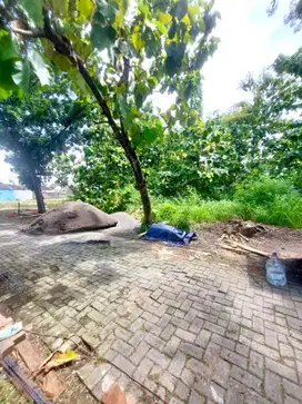 Jual Cepat Tanah Luas Ideal Murah Dekat Dekat Ke UNS