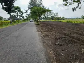 Harga Promo! Tanah Kavling Jagakarsa , Cocok Bangun Rumahkost