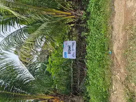 Tanah Siap Bangun