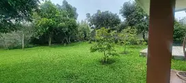 rumah/villa bagus luas taman depan belakang dijual.cepat