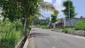 Jual Tanah Pinggir Jalan Luas 442 m² Lokasi  Strategis.
