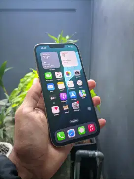 BUC IPHONE 13 PRO MAX 256GB GOLD