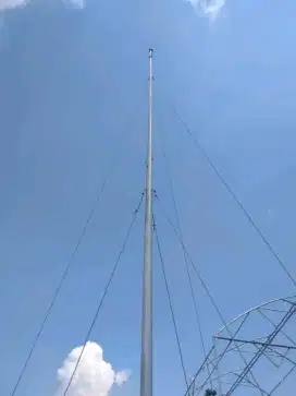 Petir dan electrik