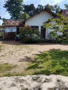 DIJUAL CEPAT RUMAH PERAMPUNGAN DILAMPUNG LUAS 550m² harga 100jutaan