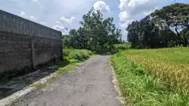 3 JUTAAN: Tanah Dekat Jl Kapten Haryadi Jogja, View Sawah