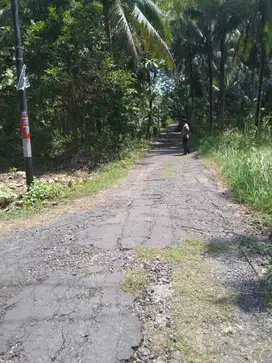 JUAL TANAH DI KREMBANGAN PANJATAN KULONPROGO