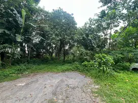 Tanah Cocok Buat Kavlingan Dan Lembaga Pendidikan Area Jakal KM. 7