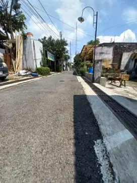 Tanah Istimewa Undip Tembalang