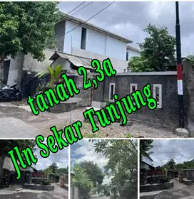 Dijual Tanah 2,3a di Jln Sekar Tunjung Gatsu Timur Denpasar Bali