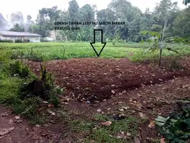 TANAH MURAH SEKALI DIBAWAH HARGA NJOP DI PARUNG BOGOR