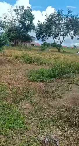 Dijual Tanah SHM 12.180 m² di Siak Hulu – Lokasi Strategis