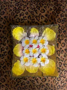 Tray kerang. ( BALI )