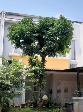 RUMAH CANTIK DI PONDOK HIJAU GOLF TOPAZ GADING SERPONG