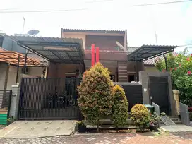 kelapa gading 8X15 jakut