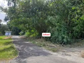 JUAL TANAH KULONPROGO DI NANGGULAN VIEW SAWAH