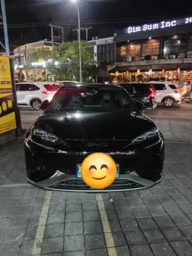 BYD SEALION PERFORMANCE