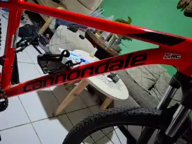 Sepeda cannondalle